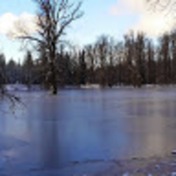 Meet your Posher, Jared - Picture 5 of 5